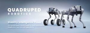 Quadruped Robots