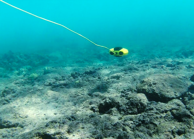 Chasing Dory mini underwater drone exploring ocean with bright yellow body