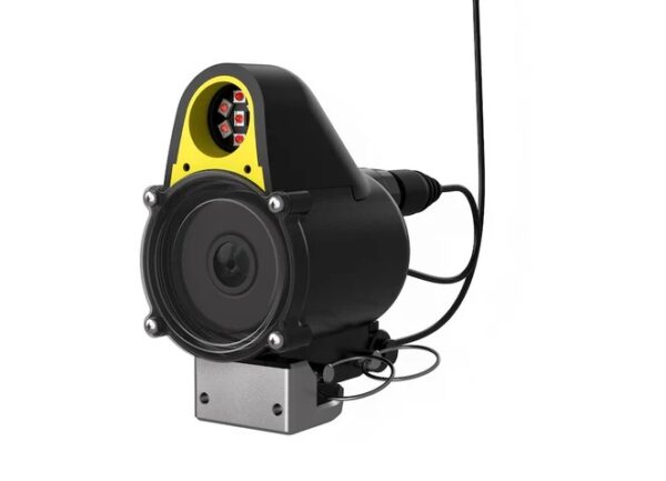 Chasing CF 1 fishing camera capturing fish activity in clear waters