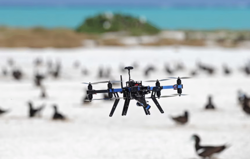 Wildlife drone research—drone monitoring animal activity in natural habitat.