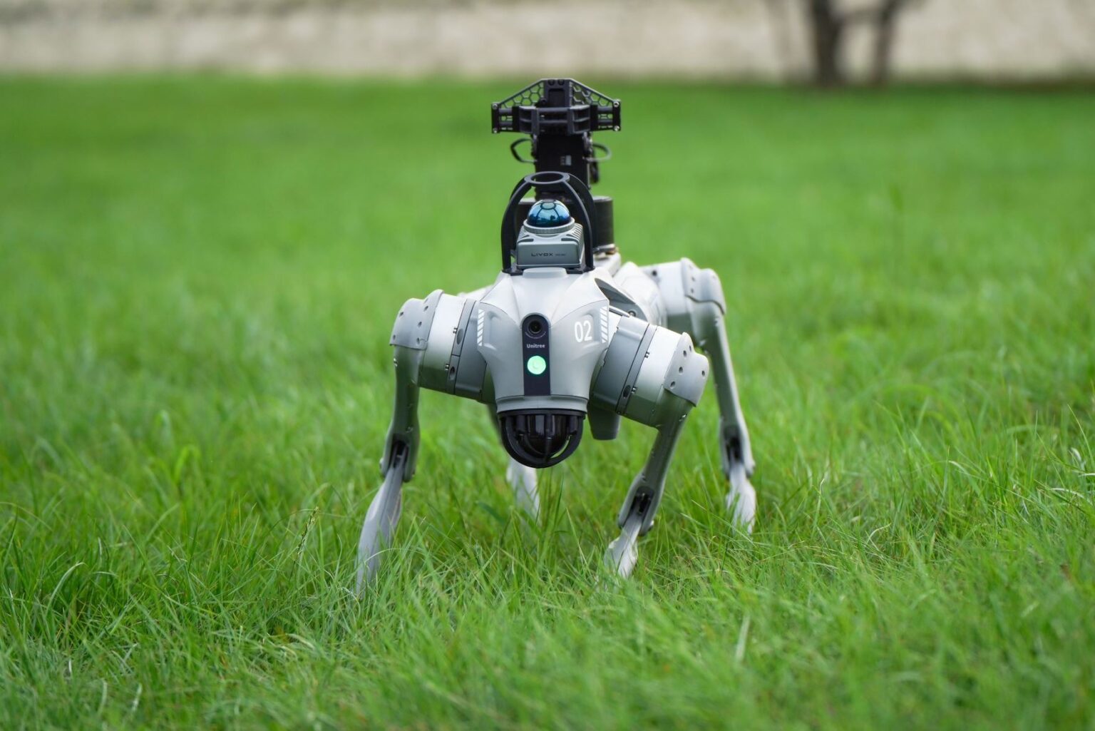 quadruped robot