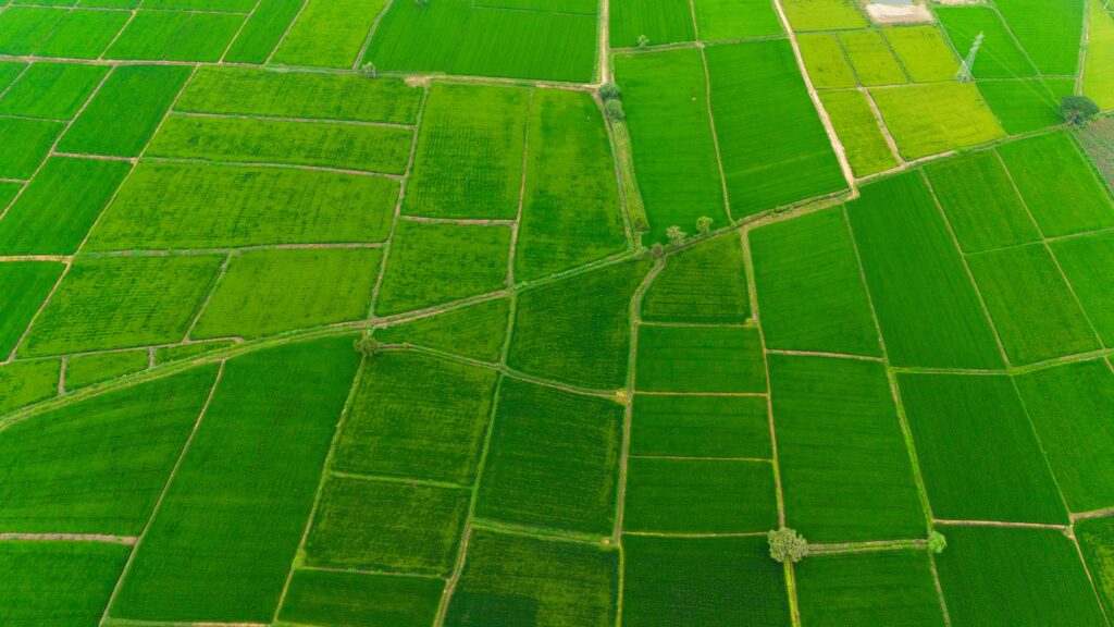 multispectral crop health map aerial