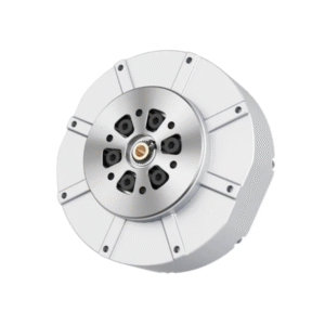 GO1 motor