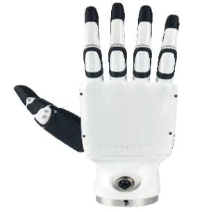 H2 Dedicated DFQ Series Dexterity Hand